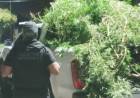 Empalme Villa Constitución: múltiples allanamientos, detenidos, secuestro de armas y estupefacientes