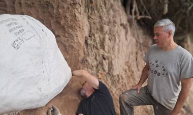 Provincia realizó un importante rescate paleontológico en el arroyo Pavón