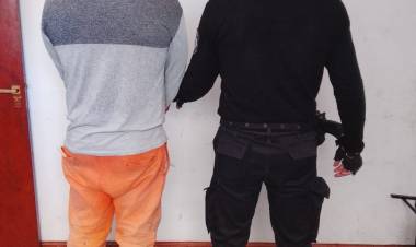 Recuperan porcino sustraído y aprehenden al autor del hecho