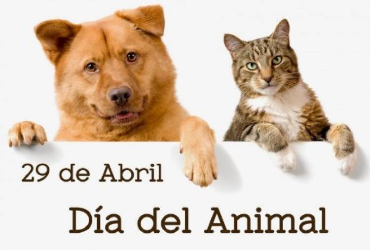 Lunes 29 de abril se festeja el Día de los animales en nuestro país