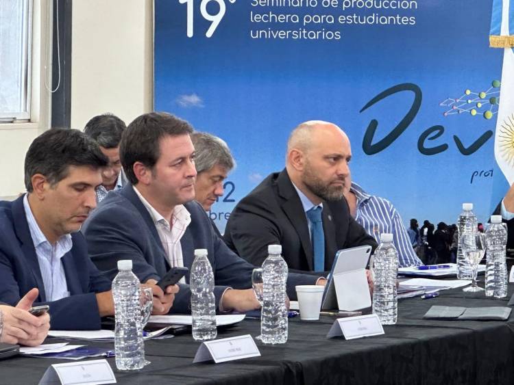 Chicharrita: Provincia trabaja en una mesa política y técnica nacional para mitigar la plaga en el maíz