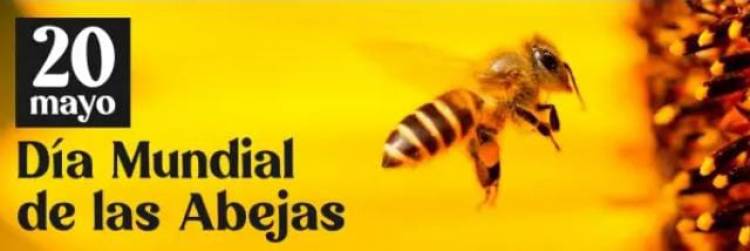 Este lunes 20 de mayo se conmemora el Día Mundial de las Abejas