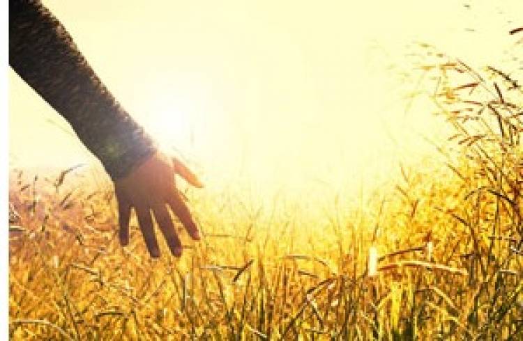 24 de mayo se celebra el día Internacional de las Mujeres por la Paz y el Desarme 