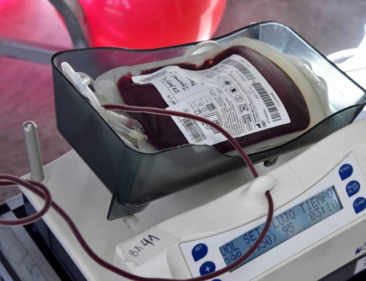 14 de Junio se celebra el Día Mundial del Donante de Sangre 