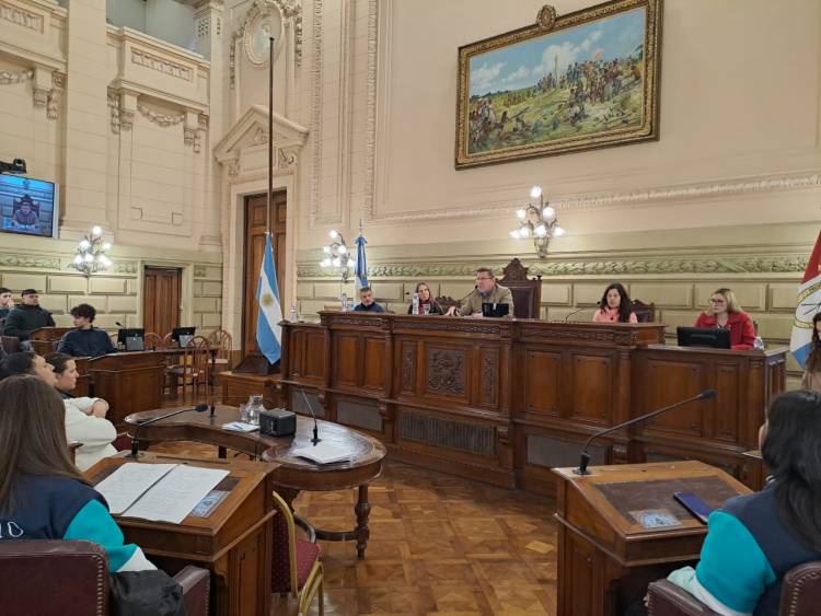 Rodrigo Borla//IMPULSANDO UN SENADO ABIERTO A LA CIUDADANÍA.
