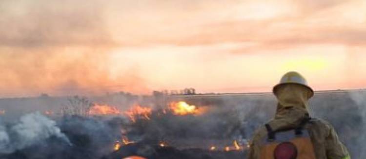 500 hectáreas devastadas por un voraz incendio en la zona rural de Naré