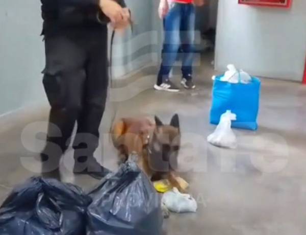 Controles en las cárceles: detectaron marihuana y cocaína ocultas entre pertenencias de visitantes al penal de Las Flores