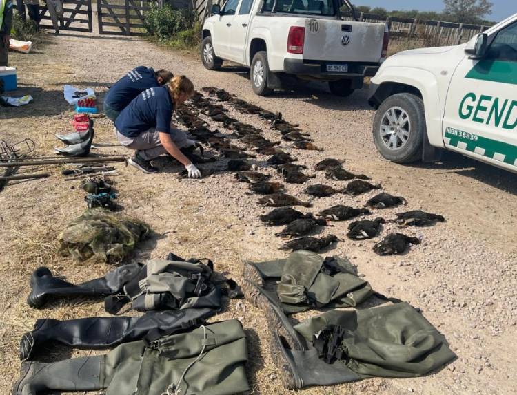 Cazadores extranjeros: la justicia falló a favor de la provincia