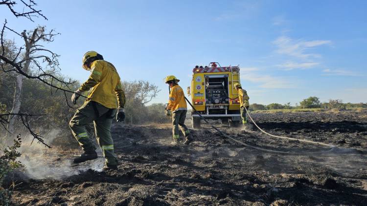 Brigadistas lograron apagar los incendios en Cacique Ariacaiquín