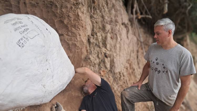 Provincia realizó un importante rescate paleontológico en el arroyo Pavón